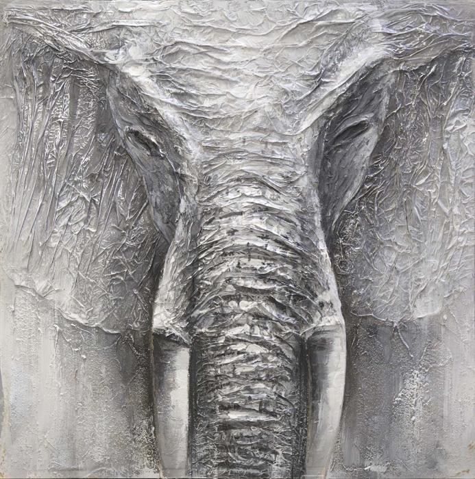 100x100 Bild Original Rimbo Elephant