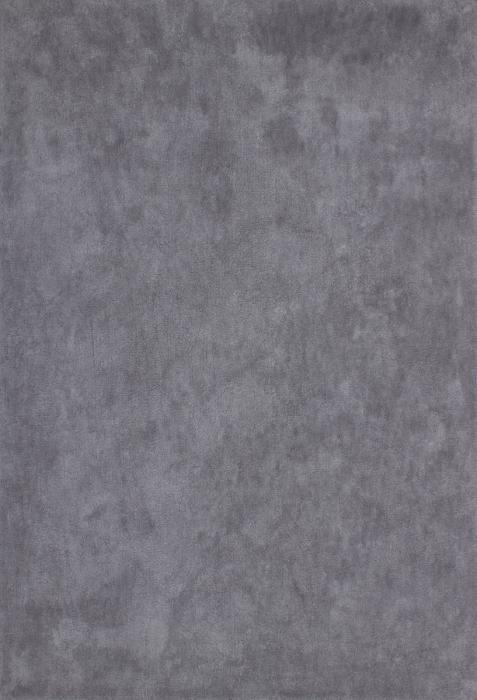 120x170 Teppich Cyprus - Nikosia Silber von Kayoom