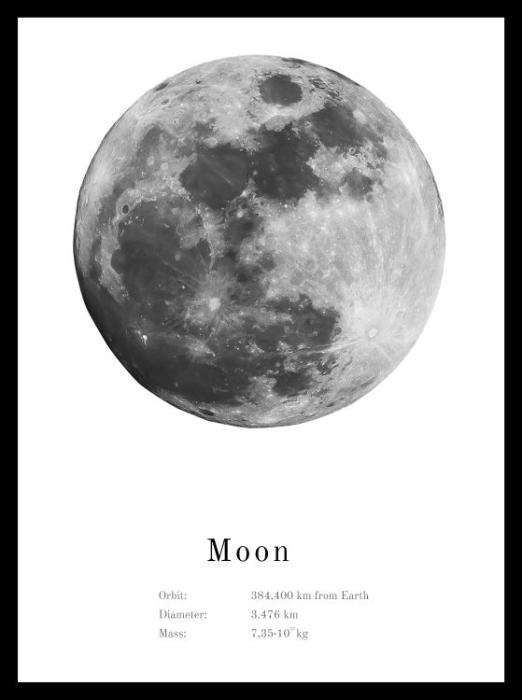 Gerahmtes Bild LORNA 30x40 cm Motiv Moon / Rahmen schwarz von Spiegelprofi