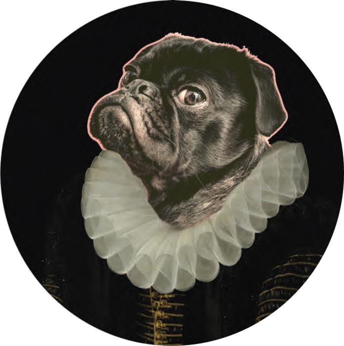 Glasbild mit Aufhängung 30x30 cm DOG Schwarz/Weiß