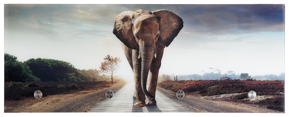 Glasgarderobe inkl 4 Haken TOBI 30x80 cm Motiv Elefant von Spiegelprofi
