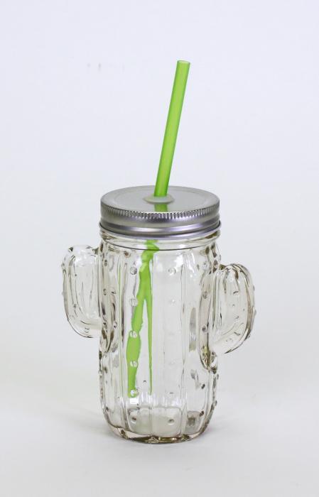 Trinkglas inkl Deckel 'Kaktus' 400 ml klar / silber von Werner Voss