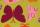 110x160 Teppich Spirit Glowy 3140 Butterfly von Arte Espina Multi - 2