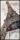 52x102 Papier Wandbild Eiffelturm II von Kayoom Beige - 2
