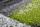 80x150 Teppich Dominica - Roseau Grün von Kayoom - 3