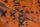 160x230 Teppich Voila 100 Orange von Arte Espina - 5